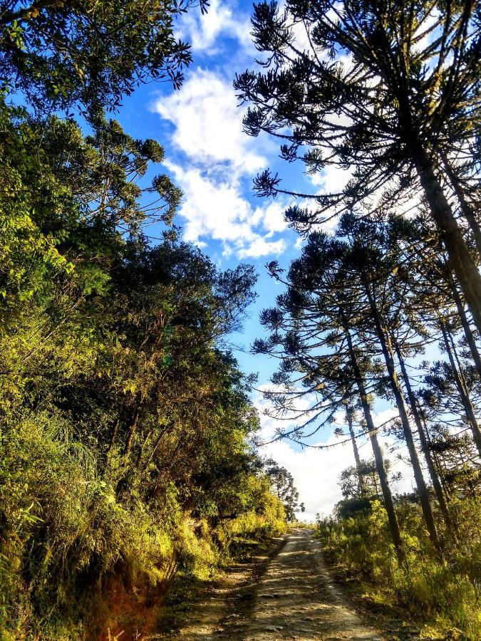 Refugio Das Araucarias Urubici Eksteriør bilde