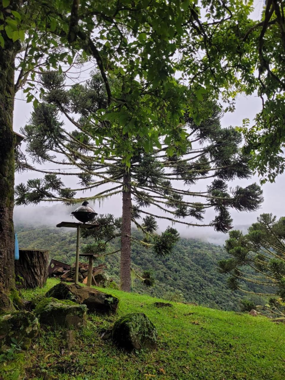 Refugio Das Araucarias Urubici Eksteriør bilde