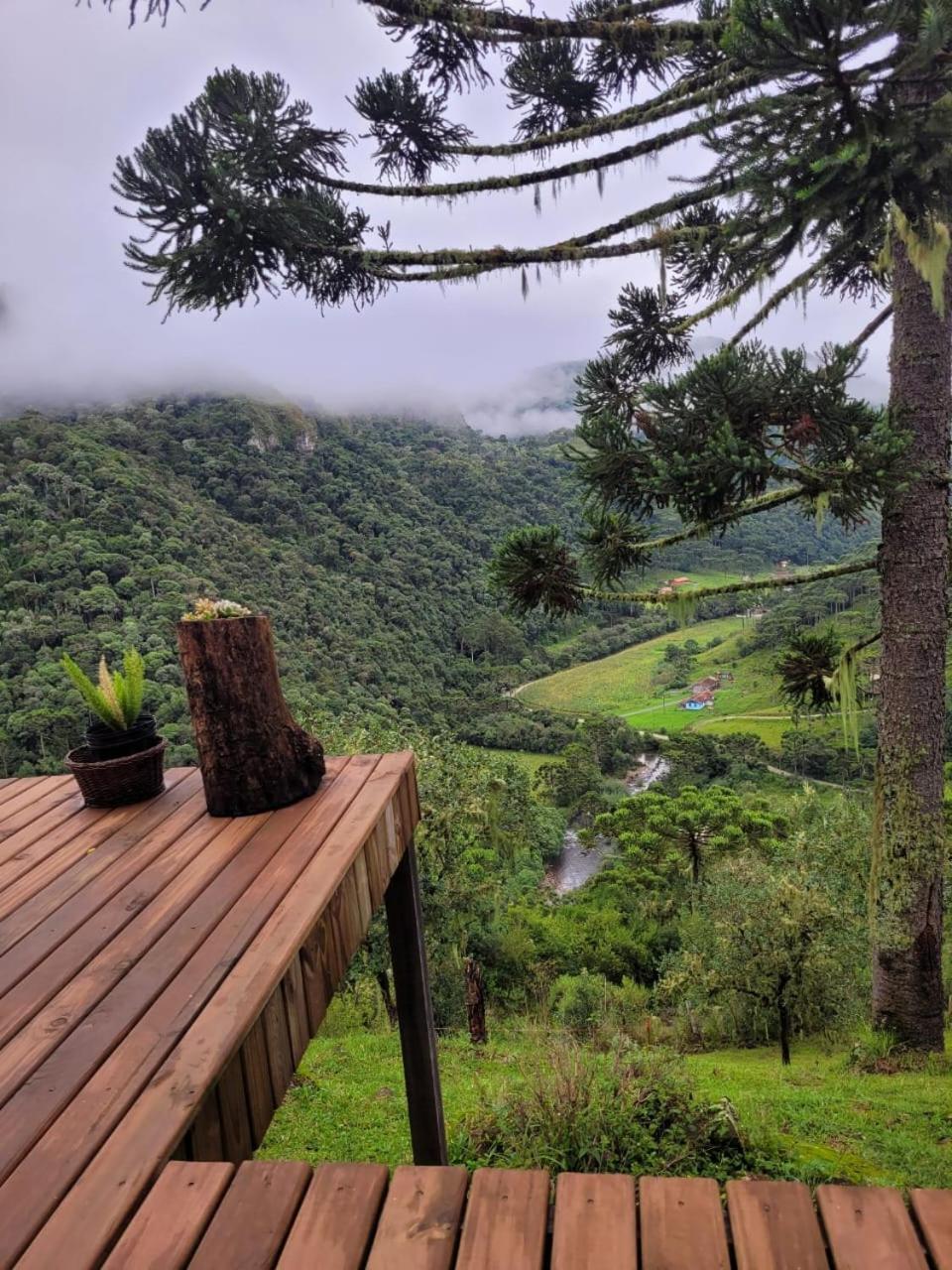 Refugio Das Araucarias Urubici Rom bilde